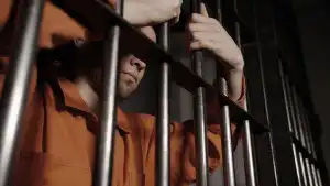  шоронг мөрөөддөг