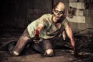  Rêver avec des zombies